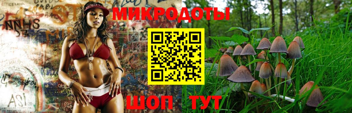 Рузаевка  Псилоцибиновые грибы прущие грибы  Псилоцибиновые грибы MAGIC MUSHROOMS  Вход с VPN 